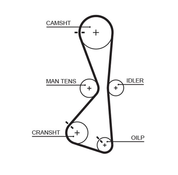 Pasek rozrządu GATES 5609XS