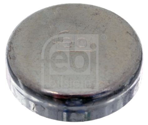 Uszczelnienie przeciwmrozowe FEBI BILSTEIN 02543