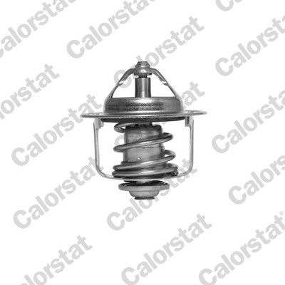 Termostat, płyn chłodzący CALORSTAT by Vernet TH6858.89J