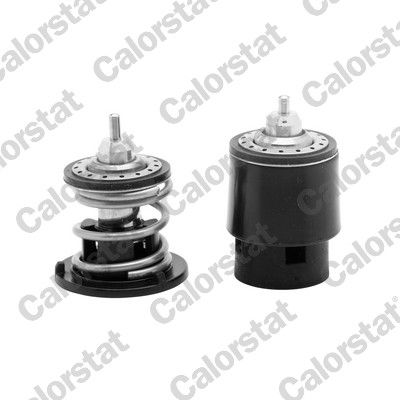 Termostat, płyn chłodzący CALORSTAT by Vernet THK7267.80