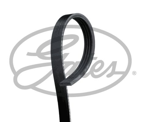 Pasek klinowy wielorowkowy GATES 4pk978