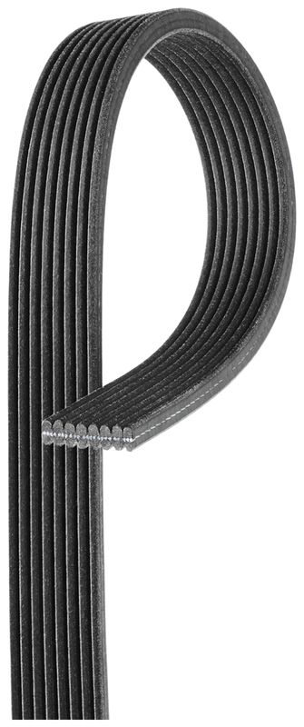 Pasek klinowy wielorowkowy GATES 8DPK1355