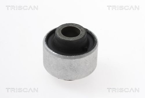 Łożyskowanie, wahacz TRISCAN 850025861