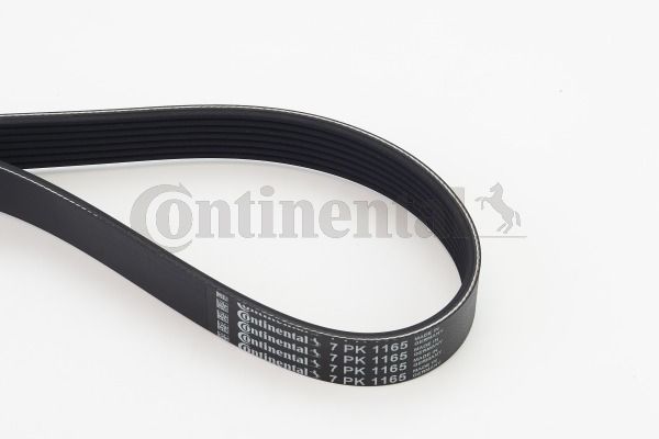 Pasek klinowy wielorowkowy CONTINENTAL CTAM 7PK1165