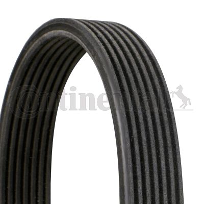 Pasek klinowy wielorowkowy CONTINENTAL CTAM 7DPK2880