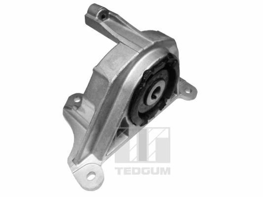 Łożyskowanie silnika TEDGUM 00215780