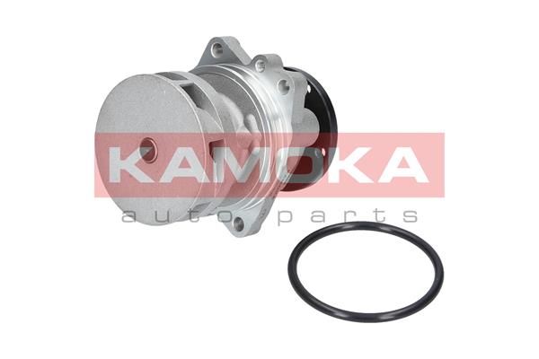 Pompa wody, chłodzenie silnika KAMOKA T0059