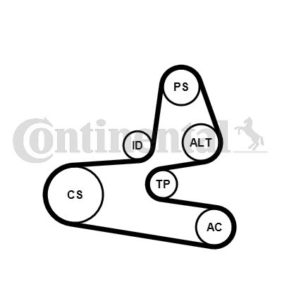 Zestaw paska klinowego wielorowkowego CONTINENTAL CTAM 6pk1564k1