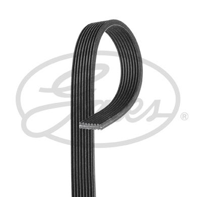 Pasek klinowy wielorowkowy GATES 8DPK1825
