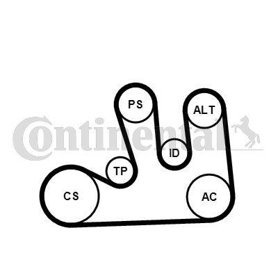 Zestaw paska klinowego wielorowkowego CONTINENTAL CTAM 5pk1750k1