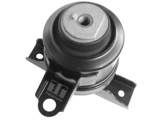 Łożyskowanie silnika TEDGUM 00393612