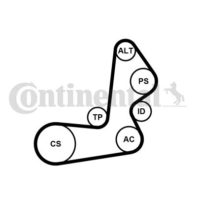 Zestaw paska klinowego wielorowkowego CONTINENTAL CTAM 6pk1515k1