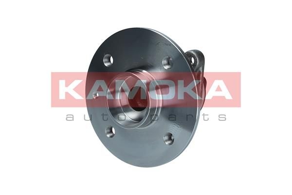 Zestaw łożysk koła KAMOKA 5500208
