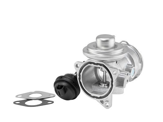 Zawór AGR BorgWarner 7372D