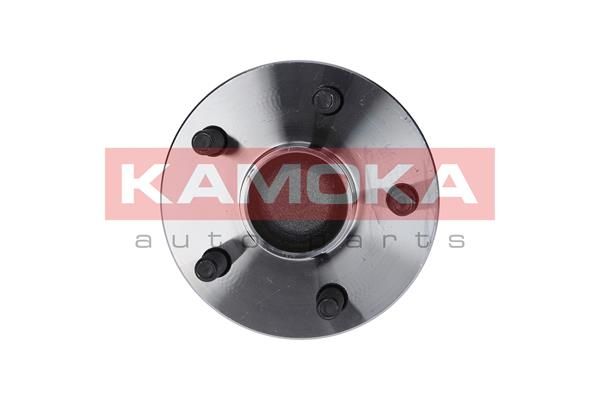 Zestaw łożysk koła KAMOKA 5500093