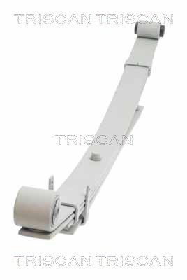 Pakiet sprężyn TRISCAN 876543004