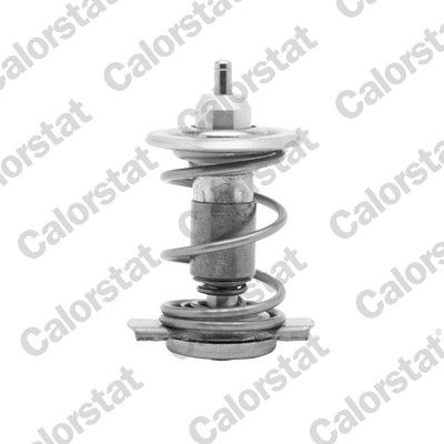 Termostat, płyn chłodzący CALORSTAT by Vernet th9780.85