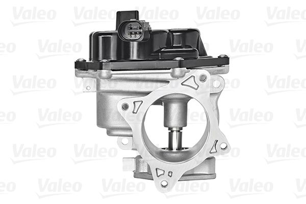 Zawór AGR VALEO 700448
