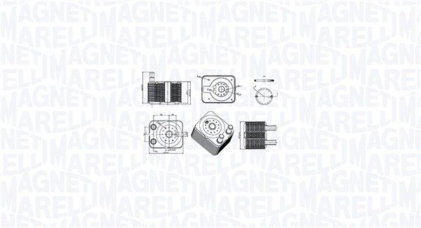 Chłodnica oleju, olej silnikowy MAGNETI MARELLI 350300003100