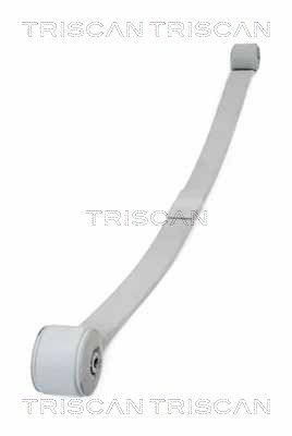 Pakiet sprężyn TRISCAN 8765 16045