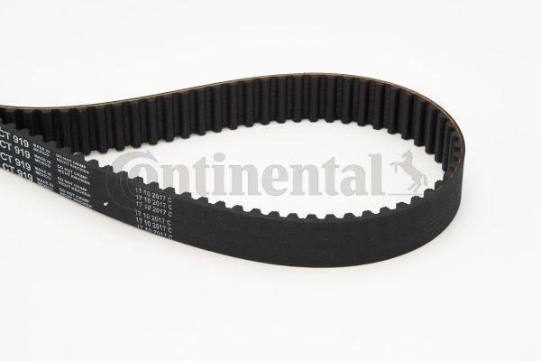Pasek rozrządu CONTINENTAL CTAM CT919