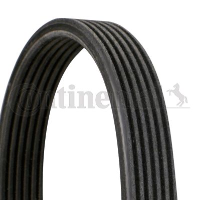 Pasek klinowy wielorowkowy CONTINENTAL CTAM 6DPK1825