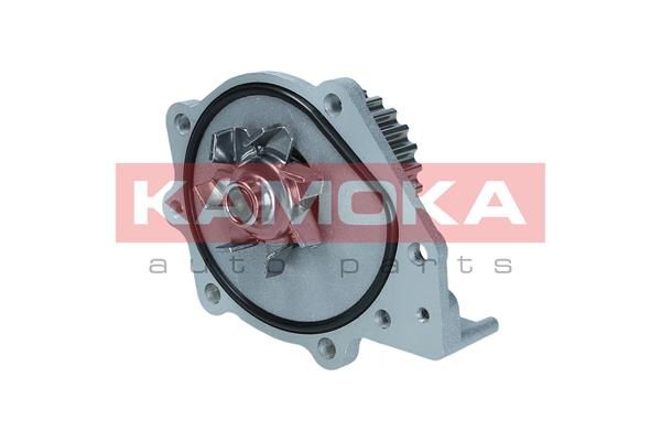 Pompa wody, chłodzenie silnika KAMOKA T0174