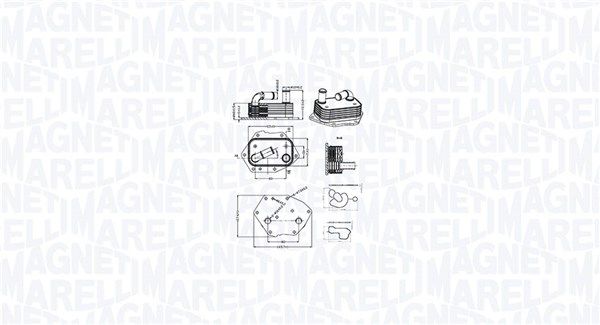 Chłodnica oleju, olej silnikowy MAGNETI MARELLI 350300002600