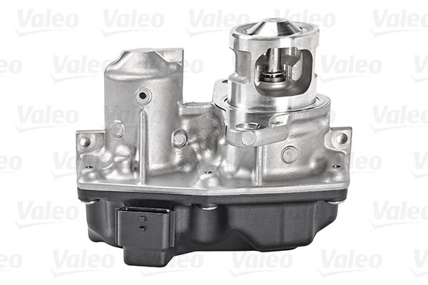 Zawór AGR VALEO 700449