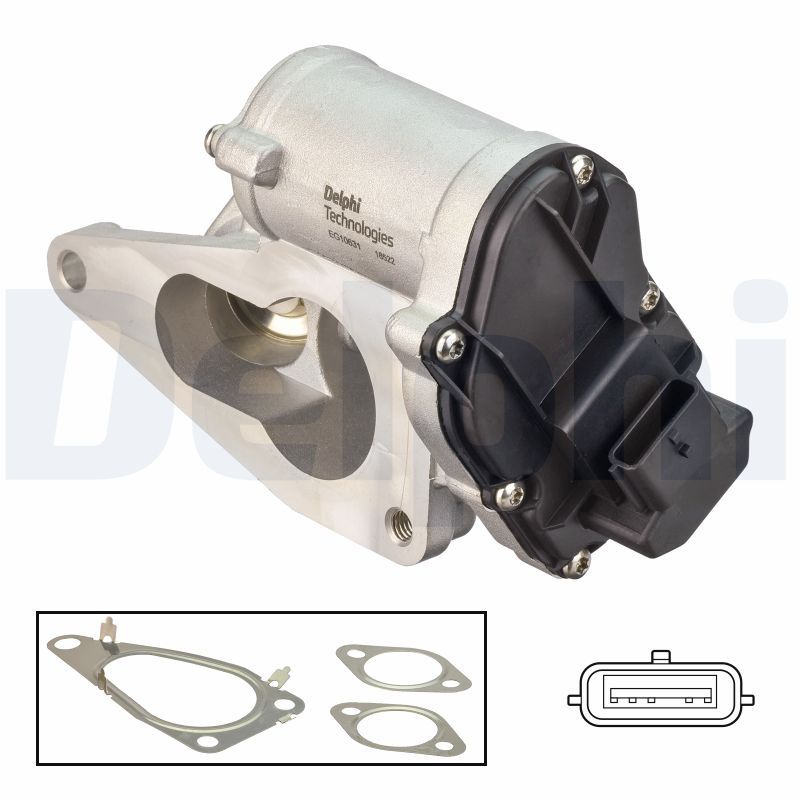 Zawór AGR DELPHI EG10631-12B1