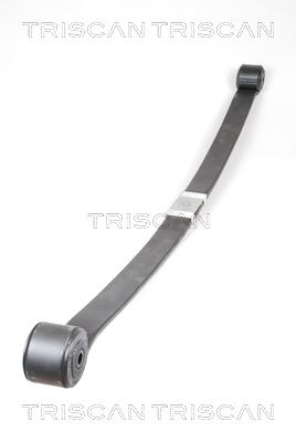 Pakiet sprężyn TRISCAN 876516039