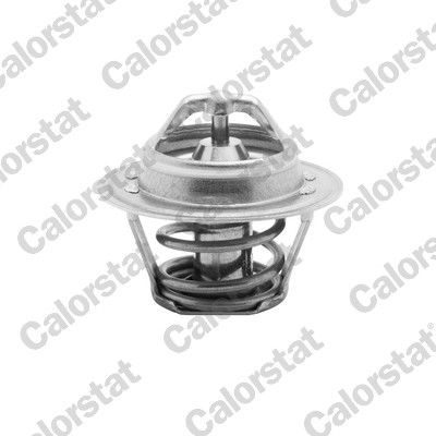 Termostat, płyn chłodzący CALORSTAT by Vernet th4898.92j