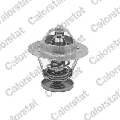 Termostat, płyn chłodzący CALORSTAT by Vernet th5077.82j