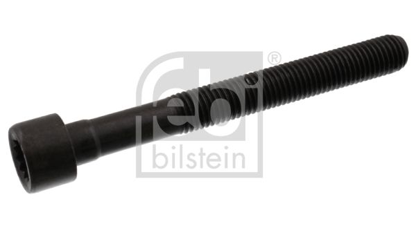 Śruba głowicy cylindrów FEBI BILSTEIN 07978