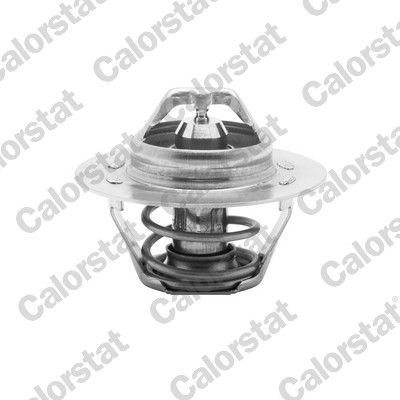 Termostat, płyn chłodzący CALORSTAT by Vernet TH5108.89J