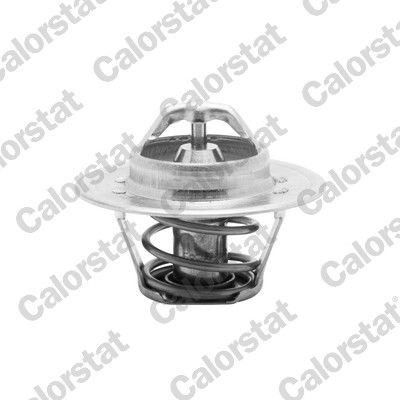 Termostat, płyn chłodzący CALORSTAT by Vernet TH5504.88J
