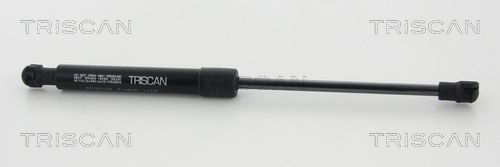 Sprężyna gazowa, maska TRISCAN 8710 24109