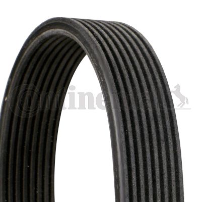 Pasek klinowy wielorowkowy CONTINENTAL CTAM 8DPK1827