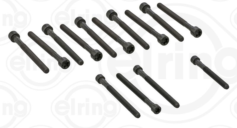 Zestaw śrub głowicy cylindrów ELRING 270.190