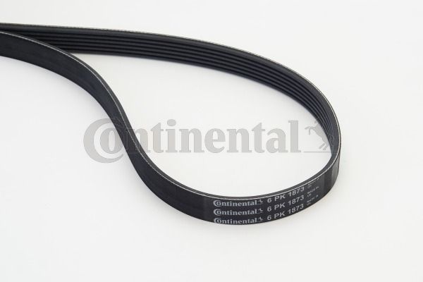 Pasek klinowy wielorowkowy CONTINENTAL CTAM 6PK1873