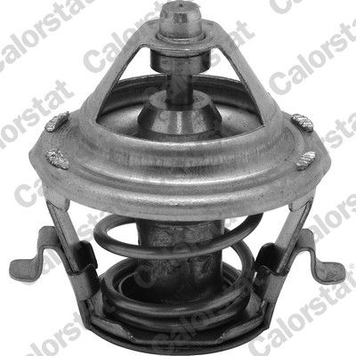 Termostat, płyn chłodzący CALORSTAT by Vernet th6231.88j