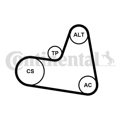 Zestaw paska klinowego wielorowkowego CONTINENTAL CTAM 6PK962K1