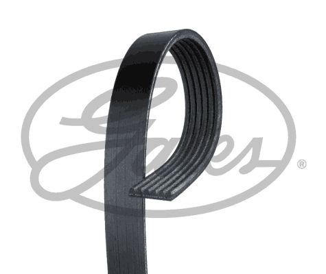 Pasek klinowy wielorowkowy GATES 6pk2013