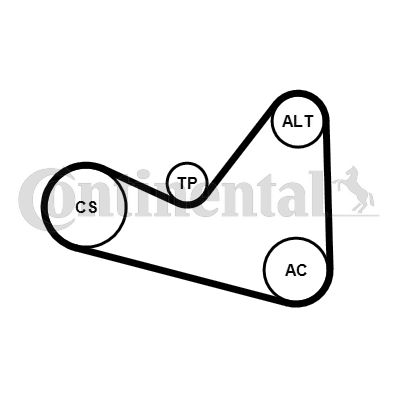 Zestaw paska klinowego wielorowkowego CONTINENTAL CTAM 6pk1050k3
