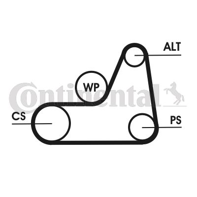 Pasek klinowy wielorowkowy CONTINENTAL CTAM 6PK1042ELAST