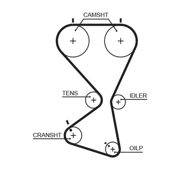 Pasek rozrządu GATES 5556xs
