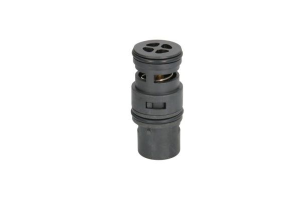 Termostat, płyn chłodzący THERMOTEC D2B007TT