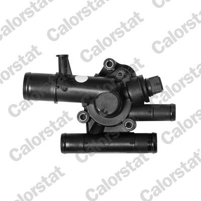 Termostat, płyn chłodzący CALORSTAT by Vernet th6628.89j