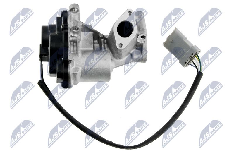 Zawór AGR NTY EGR-LR-005