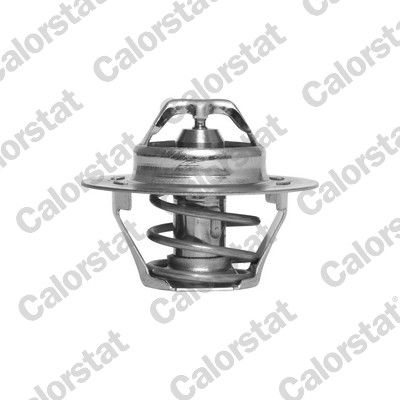 Termostat, płyn chłodzący CALORSTAT by Vernet th4168.89j